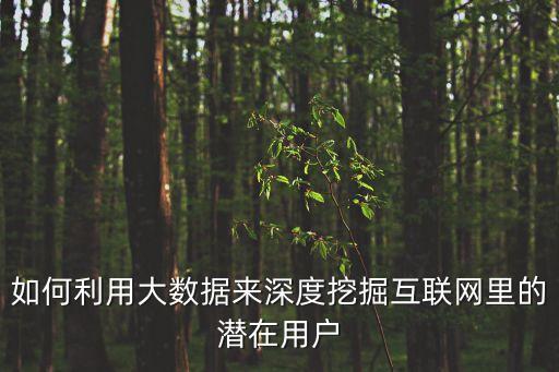 如何利用大數(shù)據(jù)來(lái)深度挖掘互聯(lián)網(wǎng)里的潛在用戶