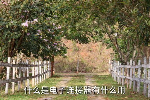 什么是電子連接器有什么用