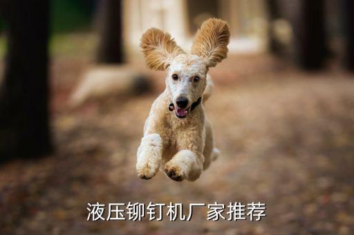 液壓鉚釘機(jī)廠家推薦