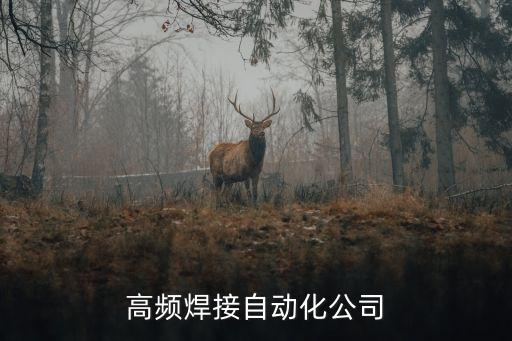 長(zhǎng)春高頻焊接自動(dòng)化公司