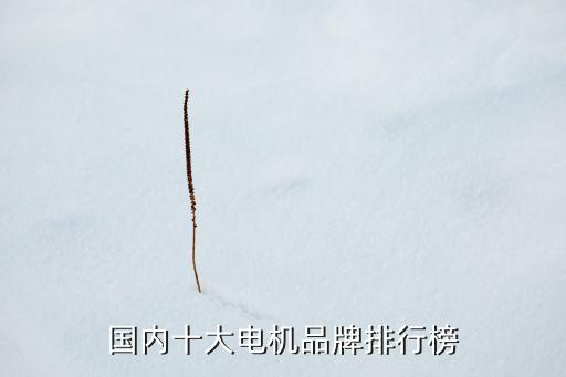 電機自動化設(shè)備公司,汽車電機自動化設(shè)備哪家比較靠譜?