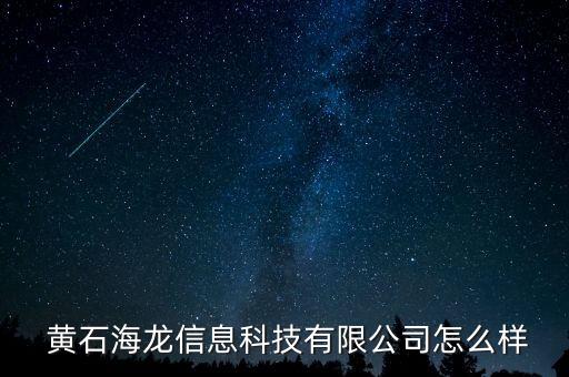  黃石海龍信息科技有限公司怎么樣