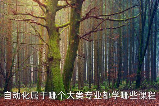 自動(dòng)化屬于哪個(gè)大類(lèi)專(zhuān)業(yè)都學(xué)哪些課程