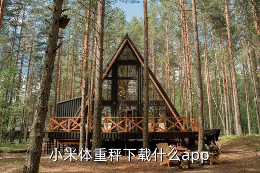 小米體重秤下載什么app