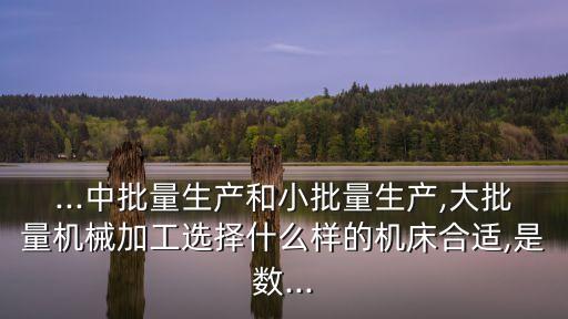 ...中批量生產(chǎn)和小批量生產(chǎn),大批量機(jī)械加工選擇什么樣的機(jī)床合適,是數(shù)...