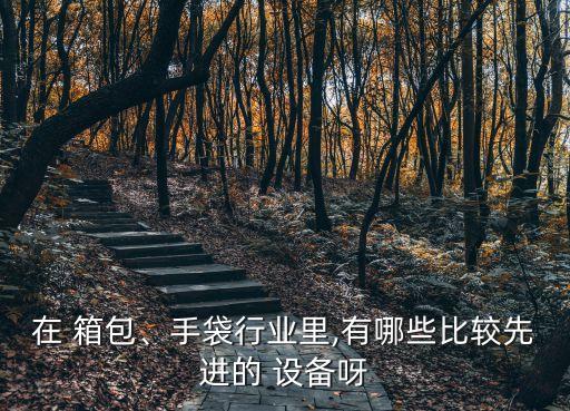 在 箱包、手袋行業(yè)里,有哪些比較先進(jìn)的 設(shè)備呀