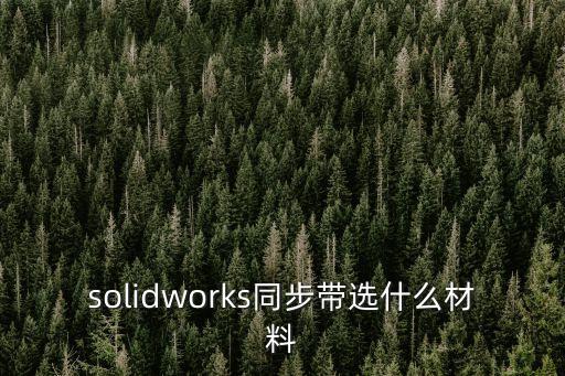 solidworks同步帶選什么材料