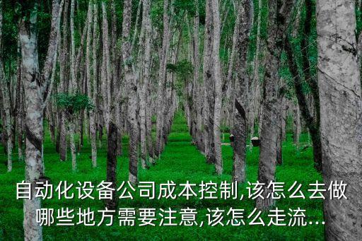如何實(shí)現(xiàn)公司的自動(dòng)化控制,自動(dòng)化設(shè)備公司成本控制