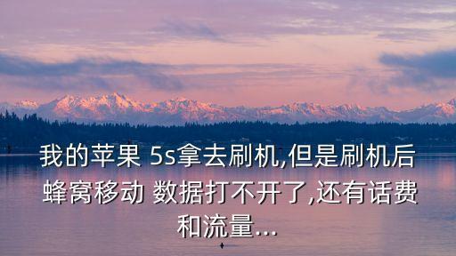 我的蘋(píng)果 5s拿去刷機(jī),但是刷機(jī)后 蜂窩移動(dòng) 數(shù)據(jù)打不開(kāi)了,還有話費(fèi)和流量...