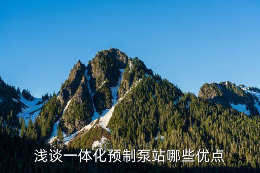 淺談一體化預(yù)制泵站哪些優(yōu)點(diǎn)