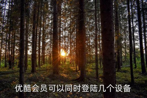 優(yōu)酷 允許數(shù)據(jù),酷航允許你在手機(jī)運(yùn)行1.2g存儲(chǔ)空間嗎?
