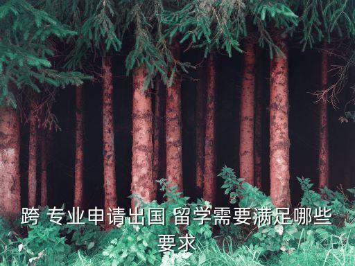 跨 專業(yè)申請(qǐng)出國(guó) 留學(xué)需要滿足哪些要求