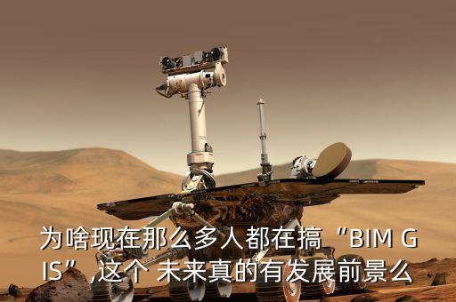 為啥現(xiàn)在那么多人都在搞“BIM GIS”,這個(gè) 未來真的有發(fā)展前景么