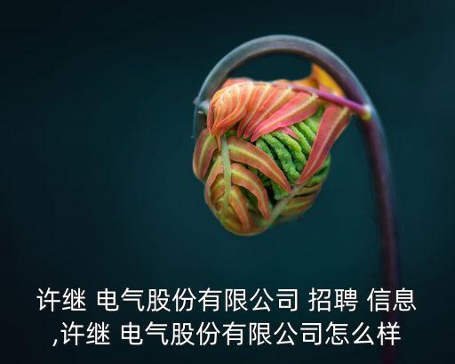 許繼 電氣股份有限公司 招聘 信息,許繼 電氣股份有限公司怎么樣
