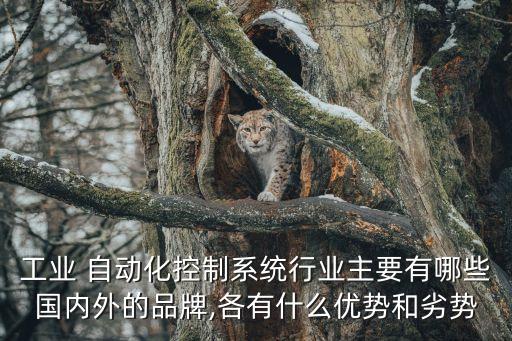 工業(yè) 自動化控制系統(tǒng)行業(yè)主要有哪些國內(nèi)外的品牌,各有什么優(yōu)勢和劣勢