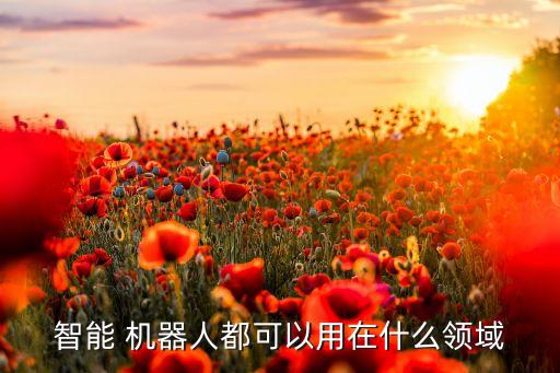 智能 機器人都可以用在什么領(lǐng)域