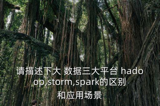 請(qǐng)描述下大 數(shù)據(jù)三大平臺(tái) hadoop,storm,spark的區(qū)別和應(yīng)用場景