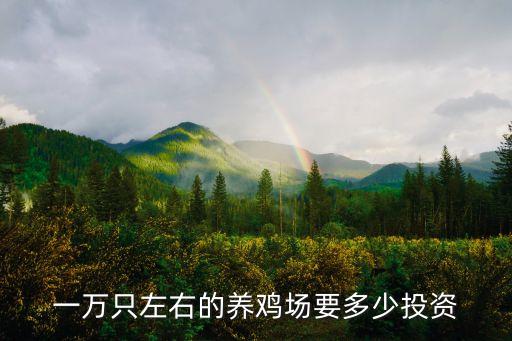一萬(wàn)只左右的養(yǎng)雞場(chǎng)要多少投資