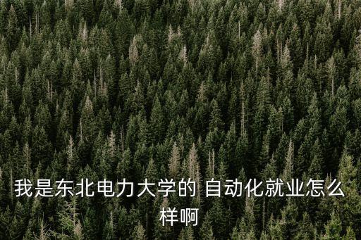 我是東北電力大學(xué)的 自動(dòng)化就業(yè)怎么樣啊