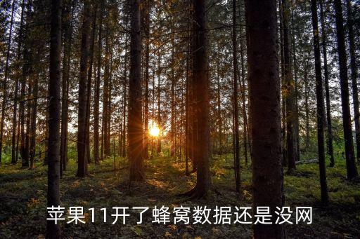 關(guān)閉了蜂窩數(shù)據(jù)連接不上,關(guān)閉蜂窩數(shù)據(jù)怎么做?