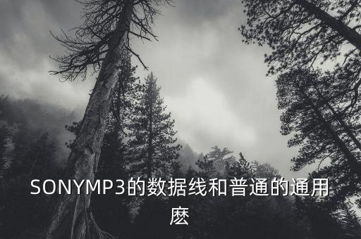 SONYMP3的數(shù)據(jù)線和普通的通用麼