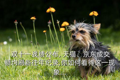  雙十一戰(zhàn)績(jī)公布, 天貓、京東成交額均刷新往年紀(jì)錄,你如何看待這一現(xiàn)象...