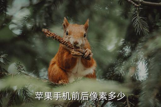 蘋果手機(jī)前后像素多少