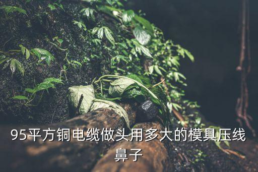 95平方銅電纜做頭用多大的模具壓線鼻子