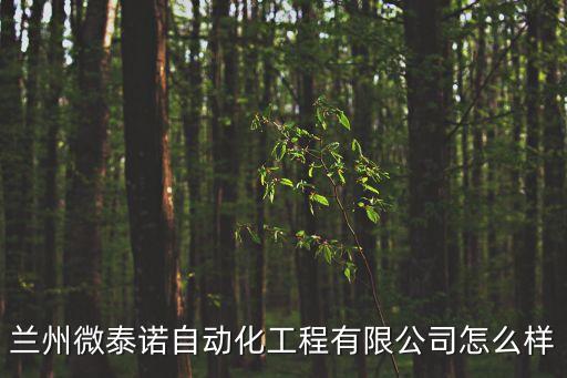 蘭州微泰諾自動化工程有限公司怎么樣