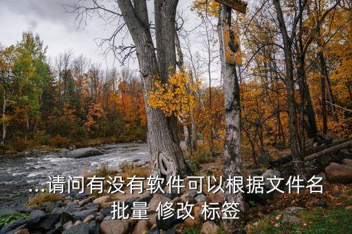 ...請問有沒有軟件可以根據(jù)文件名批量 修改 標簽