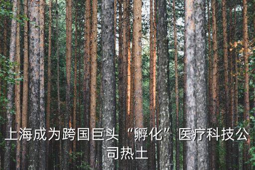 上海成為跨國巨頭“孵化”醫(yī)療科技公司熱土