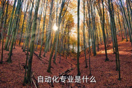 昌吉學院的電氣自動化技術