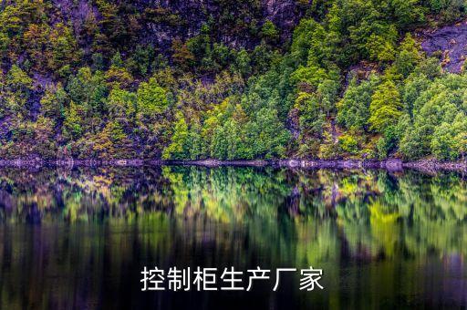 控制柜生產(chǎn)廠家