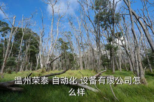  溫州榮泰 自動(dòng)化 設(shè)備有限公司怎么樣