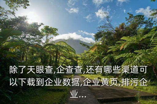 除了天眼查,企查查,還有哪些渠道可以下載到企業(yè)數(shù)據(jù),企業(yè)黃頁,排污企業(yè)...