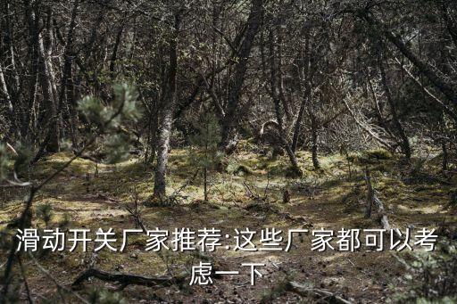 陶利源自動化有限公司,深圳市新嘉拓自動化技術(shù)有限公司