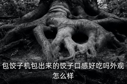 包餃子機(jī)包出來(lái)的餃子口感好吃嗎外觀怎么樣