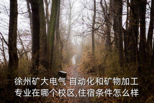 徐州礦大有自動化專業(yè)嗎