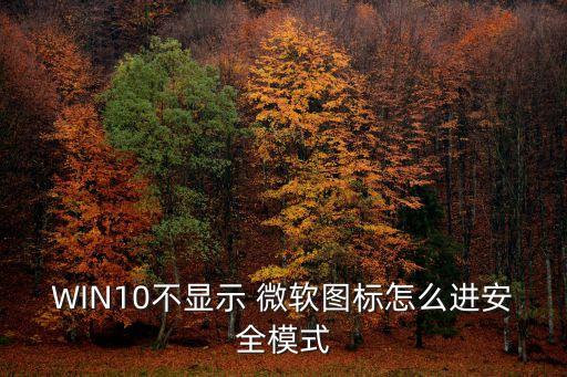 WIN10不顯示 微軟圖標怎么進安全模式