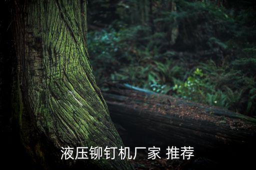 液壓鉚釘機廠家 推薦