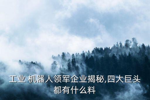 工業(yè) 機器人領軍企業(yè)揭秘,四大巨頭都有什么料
