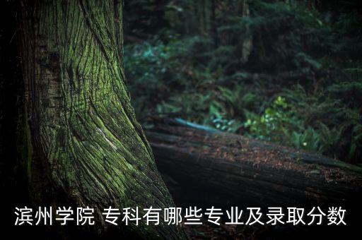 濱州學(xué)院 ?？朴心男I(yè)及錄取分數(shù)