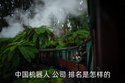 內(nèi)飾自動化公司排名前十,自動化專業(yè)排名前十的大學(xué)