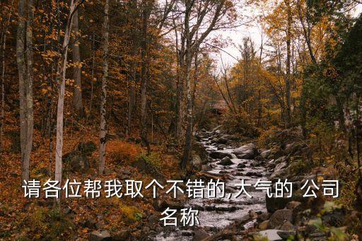 請各位幫我取個不錯的,大氣的 公司名稱