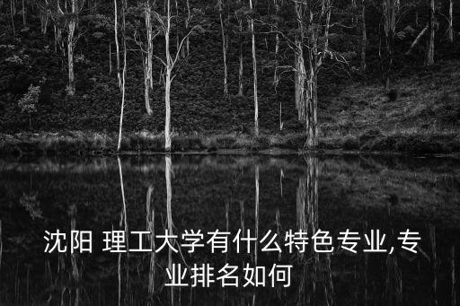  沈陽 理工大學(xué)有什么特色專業(yè),專業(yè)排名如何