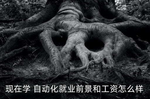 現(xiàn)在學(xué) 自動(dòng)化就業(yè)前景和工資怎么樣