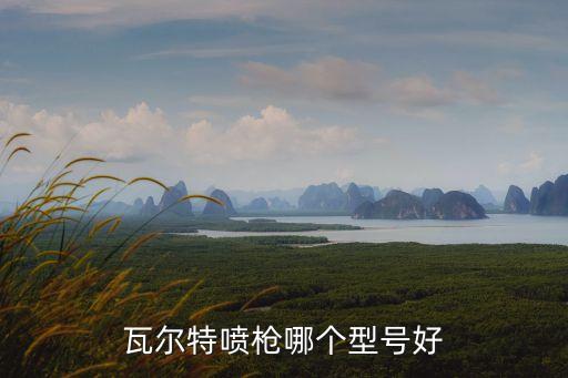 瓦爾特噴槍哪個型號好