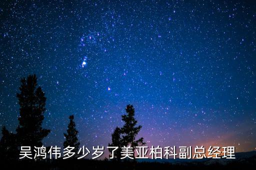 吳鴻偉多少歲了美亞柏科副總經(jīng)理