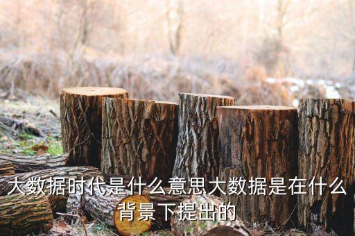 大數(shù)據(jù)時(shí)代是什么意思大數(shù)據(jù)是在什么背景下提出的