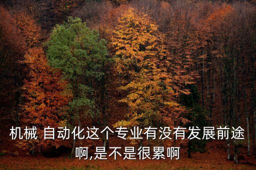 機械 自動化這個專業(yè)有沒有發(fā)展前途啊,是不是很累啊